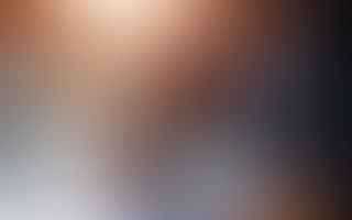 The Lender's Perspective: Evaluating Repayment Capacities of Borrowers and Cosigners