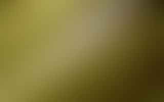 Do educational loans require collateral security?
